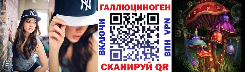Купить где  Белокуриха  Псилоцибиновые грибы Psilocybine cubensis 